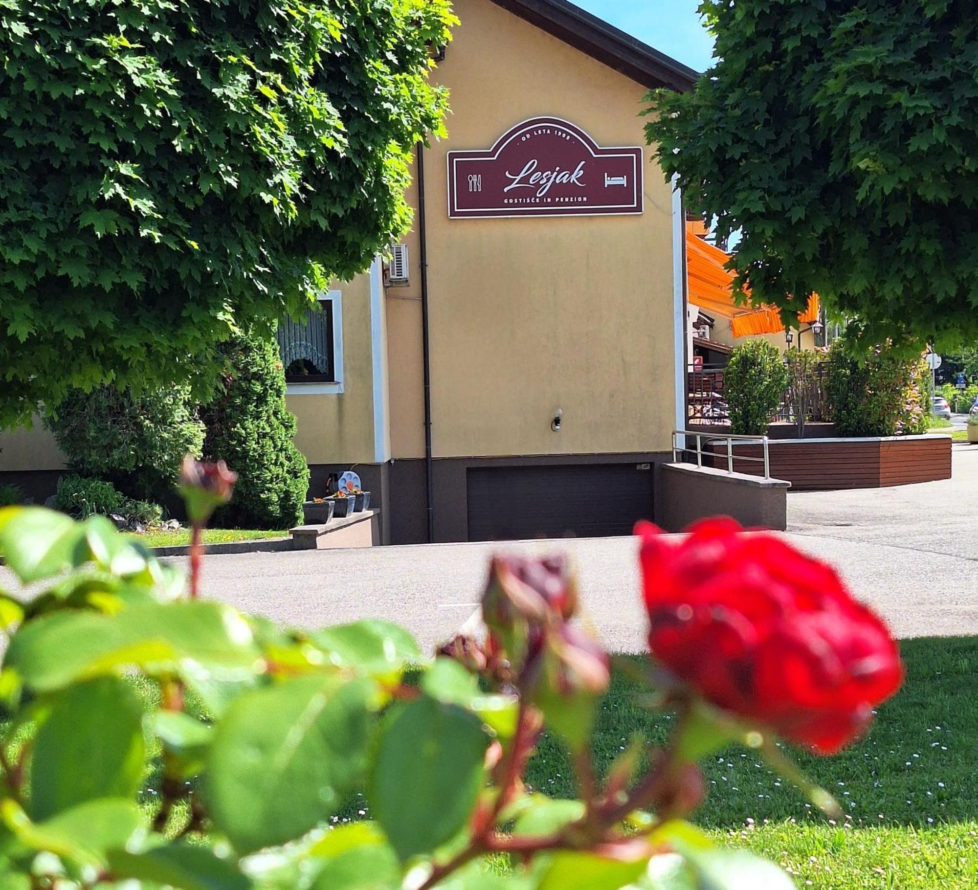 Penzion Gostisce Lesjak Orehova vas Exterior photo